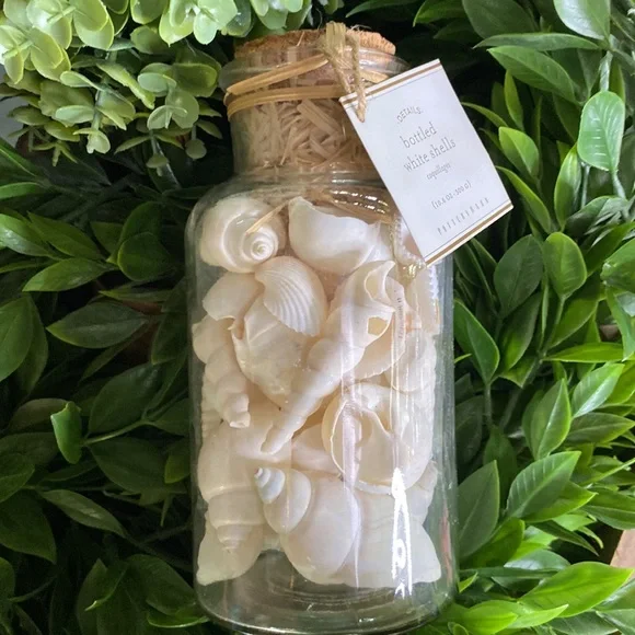 Pottery Barn Sally’s Seashore Seashells “Shells In A Bottle” Vase Filler 🐚 - Picture 11 of 16